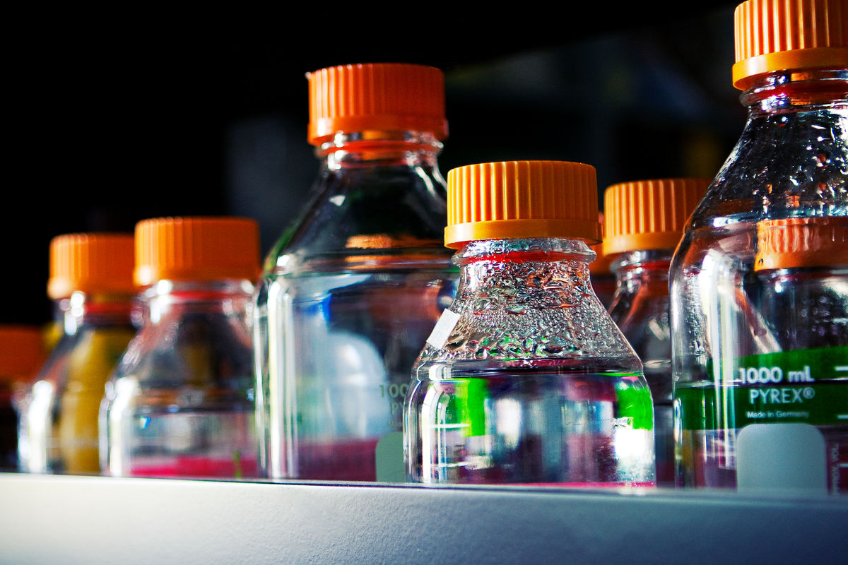 20100526-gb-pathology002-edit.jpg