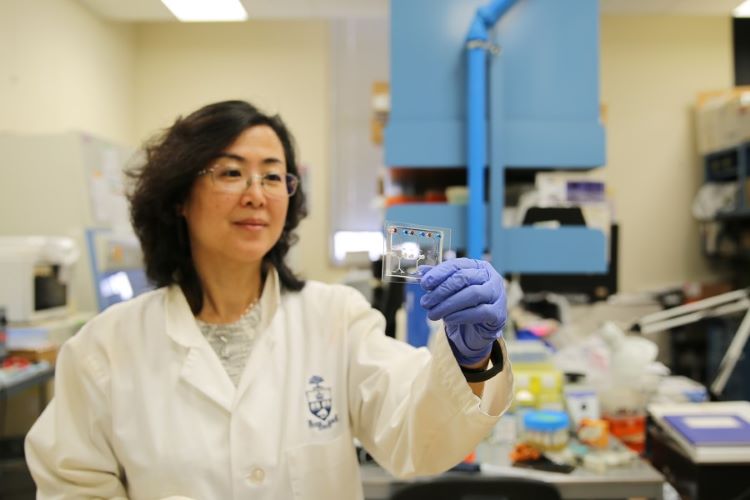 Canada Research Chair Lidan You, engineering a better bone health