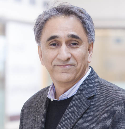 Ahmad  Afsahi