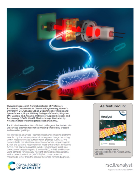 biosensor model