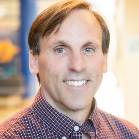 Brian Amsden