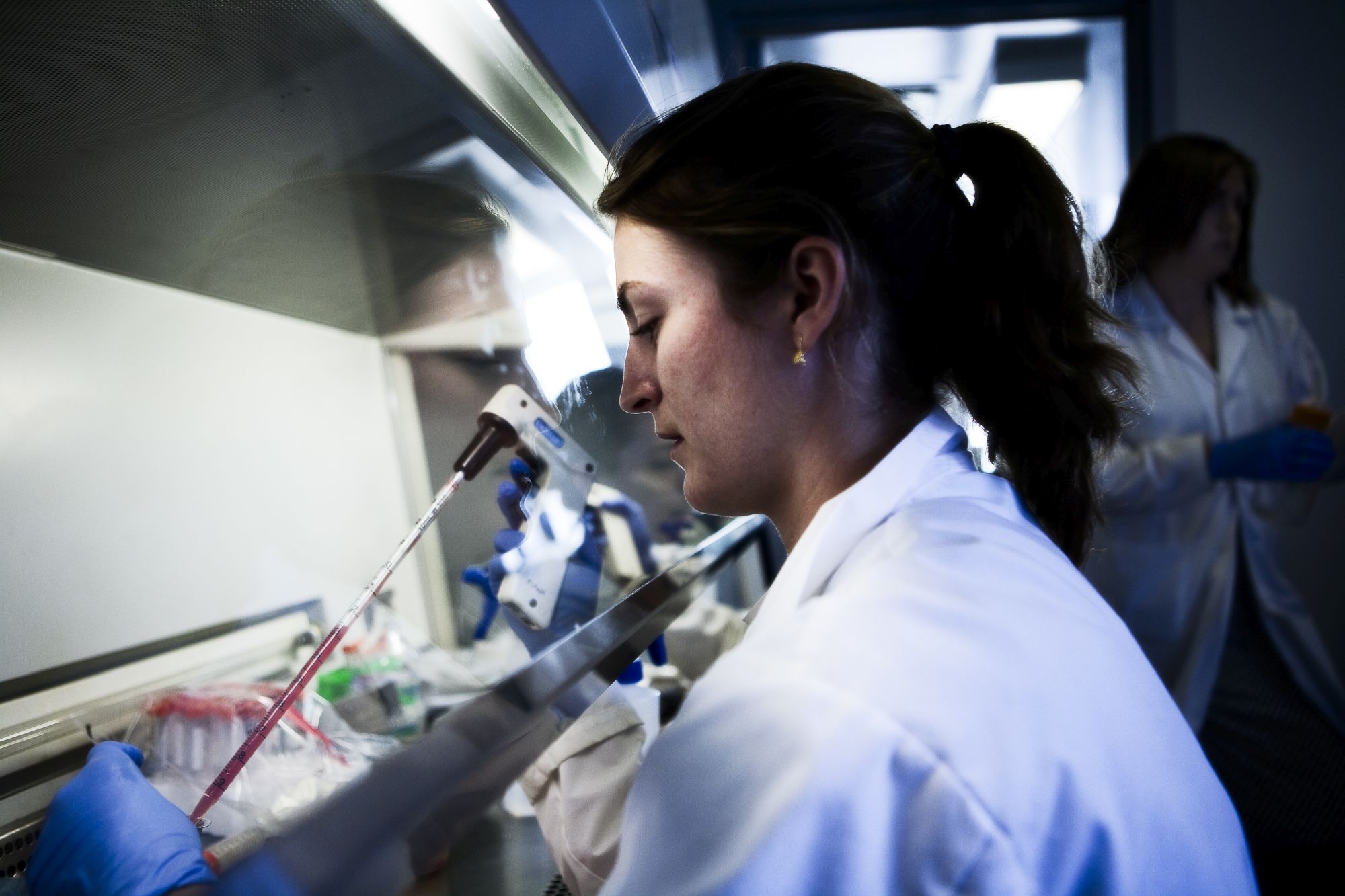Lauren Flynn performing stem cell regeneration