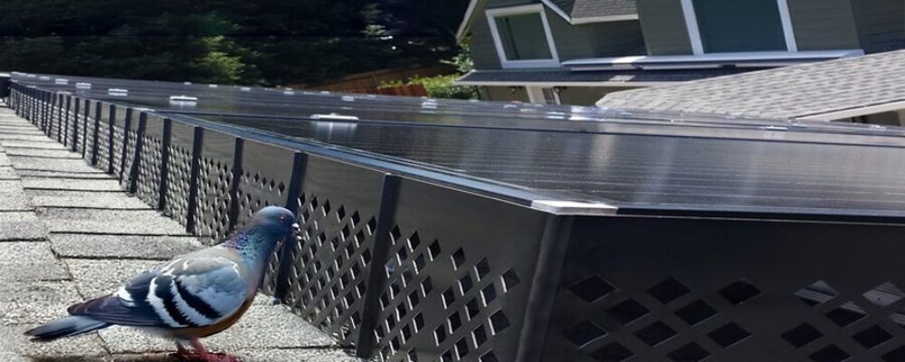 solar system service,solar panel maintenance,solar panel cleaning,critter guard,solarfax,solar system repair near me