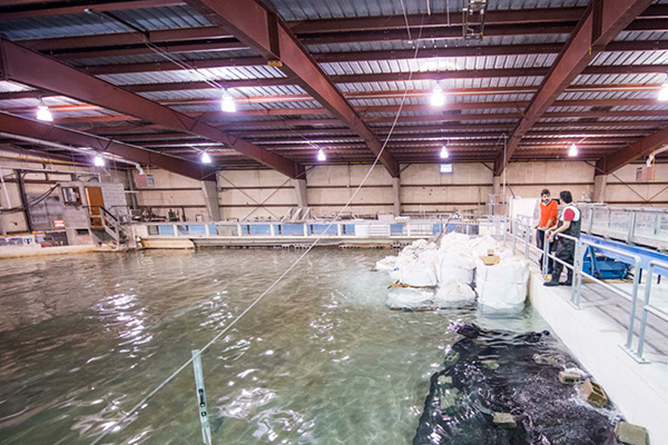 Researchers make observations at the Queen’s University Coastal Engineering Research Lab (QUCERL)