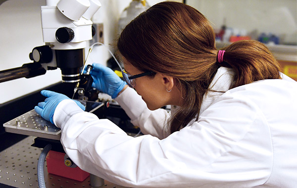 A researcher studies biomedical polymers in zebrafish embryos