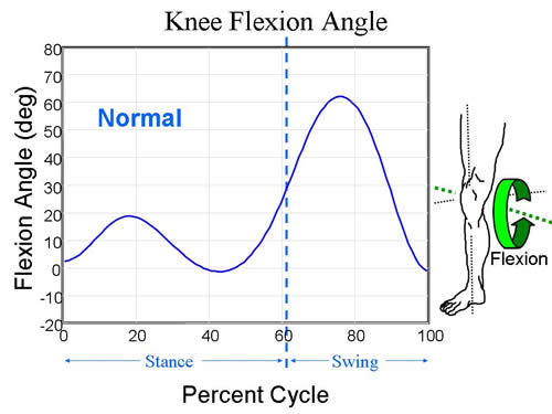 KneeFlexionAngle