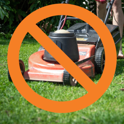 gas-powered lawn mowers
