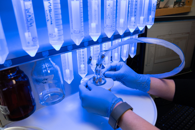 closeup of hands in latex gloves holding equipment with tubes