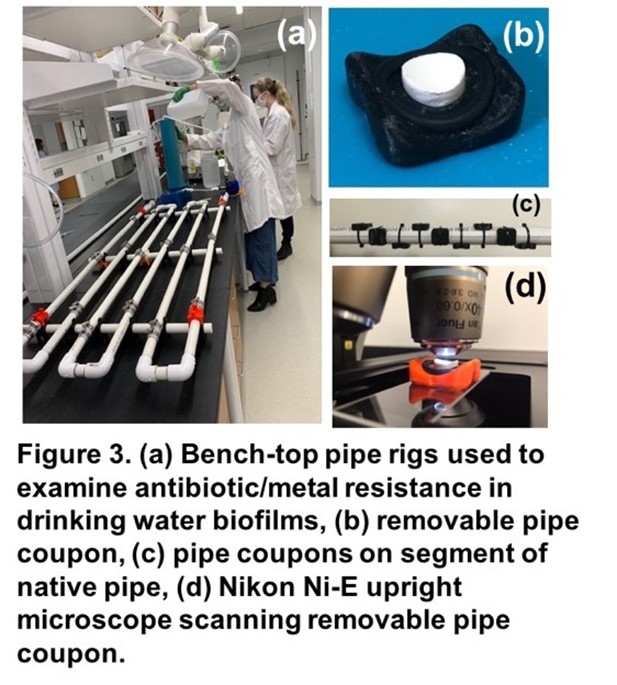 yves_research_3.jpg