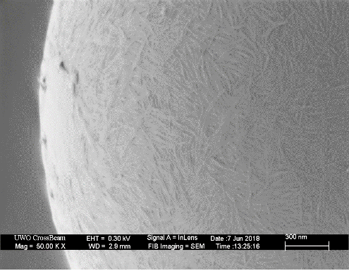 Bio-based cellulose nanocrystals coating surface of micro-particle, providing a green alternative to traditional surfactants