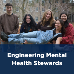 Engineering Mental Health Stewards