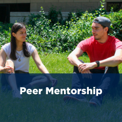 Peer Mentorship