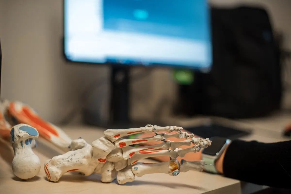 A detailed anatomical model of a human hand and wrist on a desk, with a computer monitor in the background.